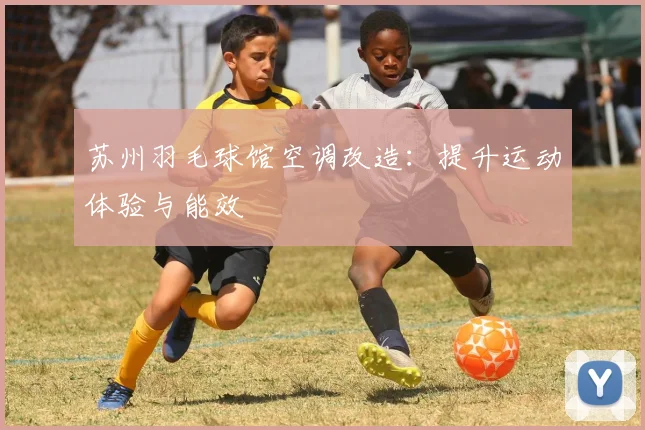 苏州羽毛球馆空调改造：提升运动体验与能效