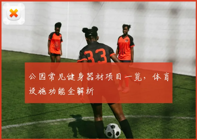 公园常见健身器材项目一览，体育设施功能全解析