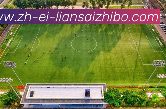 五大联赛直播服务体系